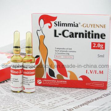 Body Slimming Fitness Perder Peso Pérdida de Peso L-Carnitine Injection2.0g / 5ml